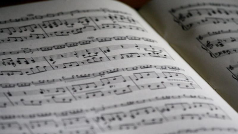 Vignette - Musique (Formation et information)