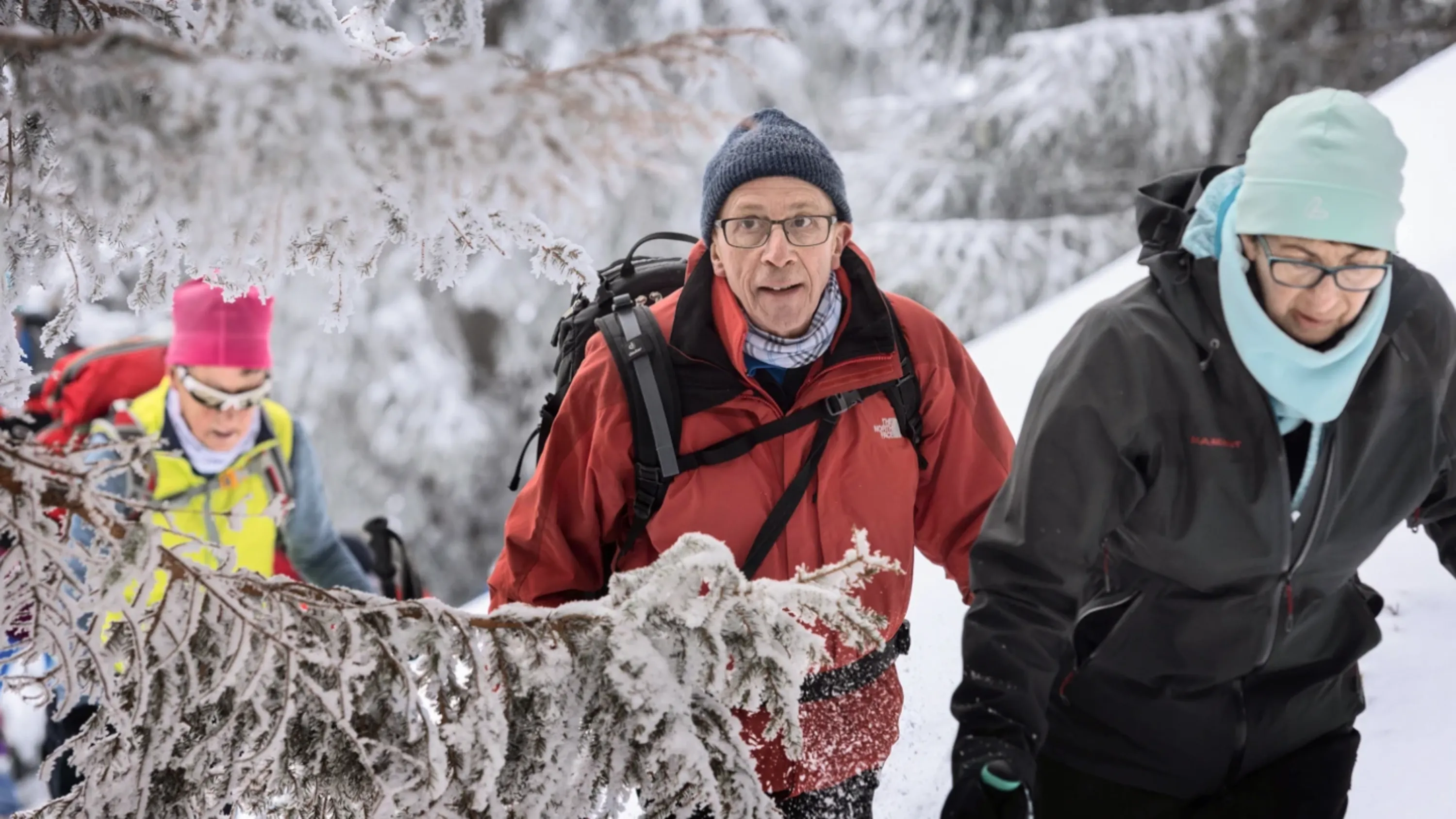 Citation - Sports d'hiver (WebP)