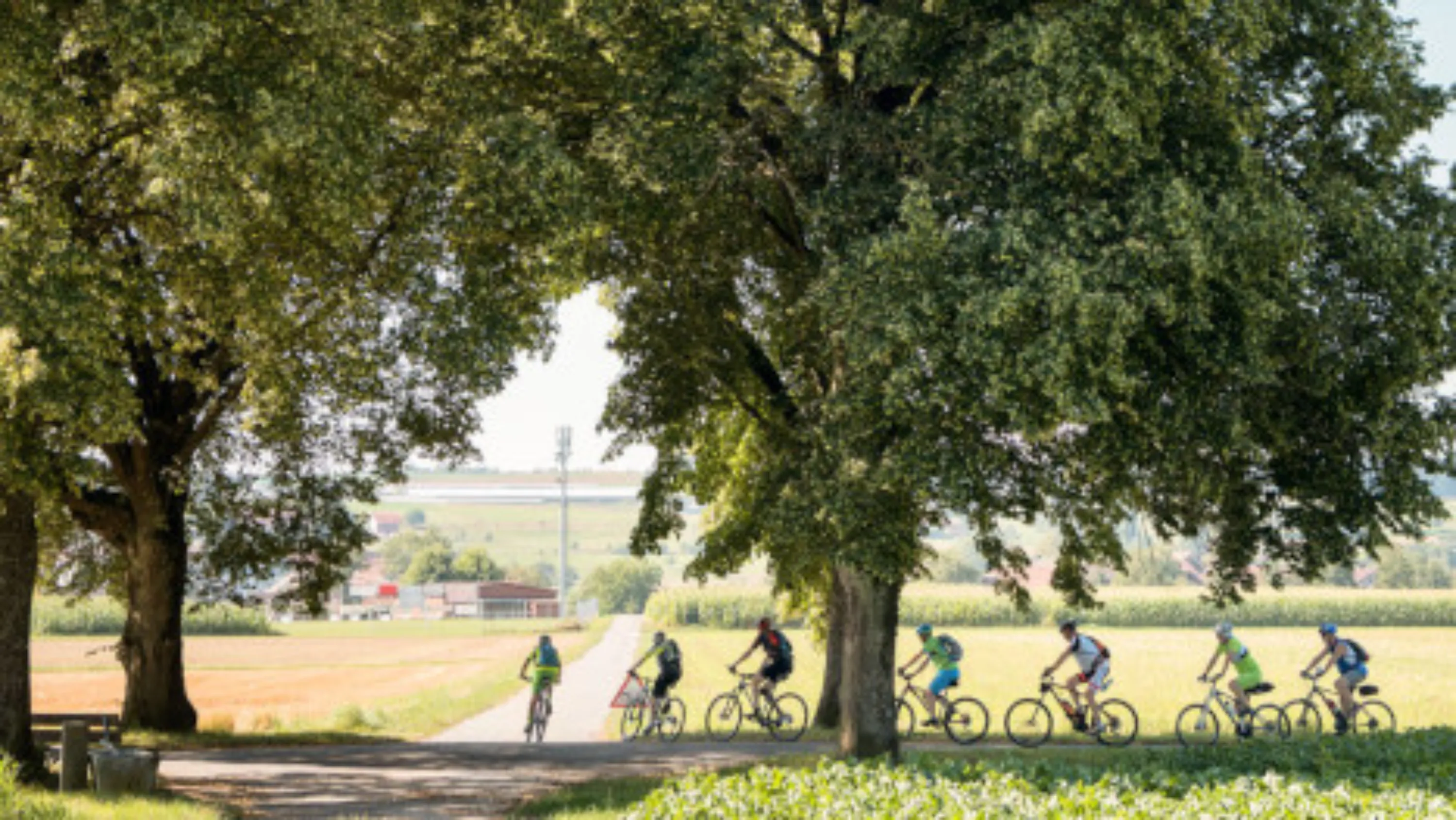 Vignette - Programme d'activites