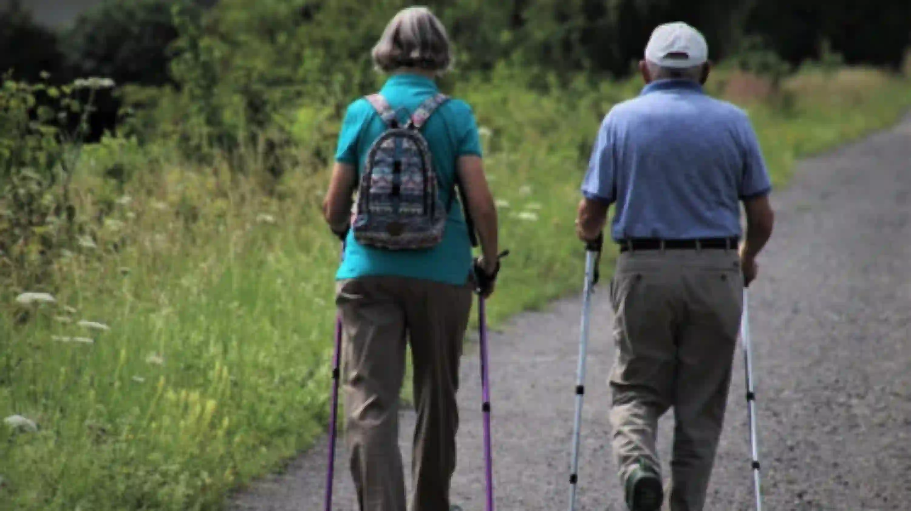 Vignette - Randonnées