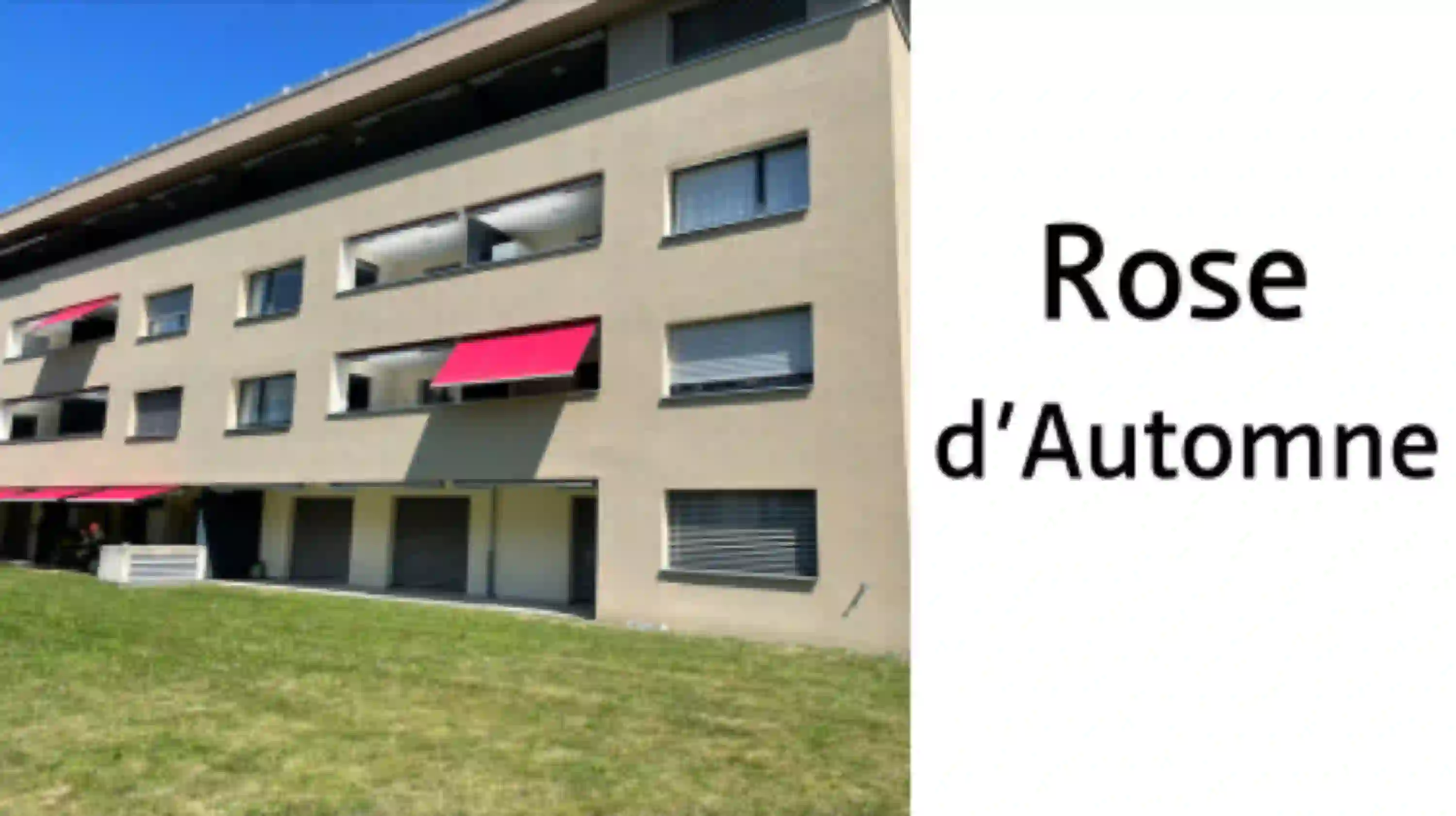 Vignette-RosedAutomne