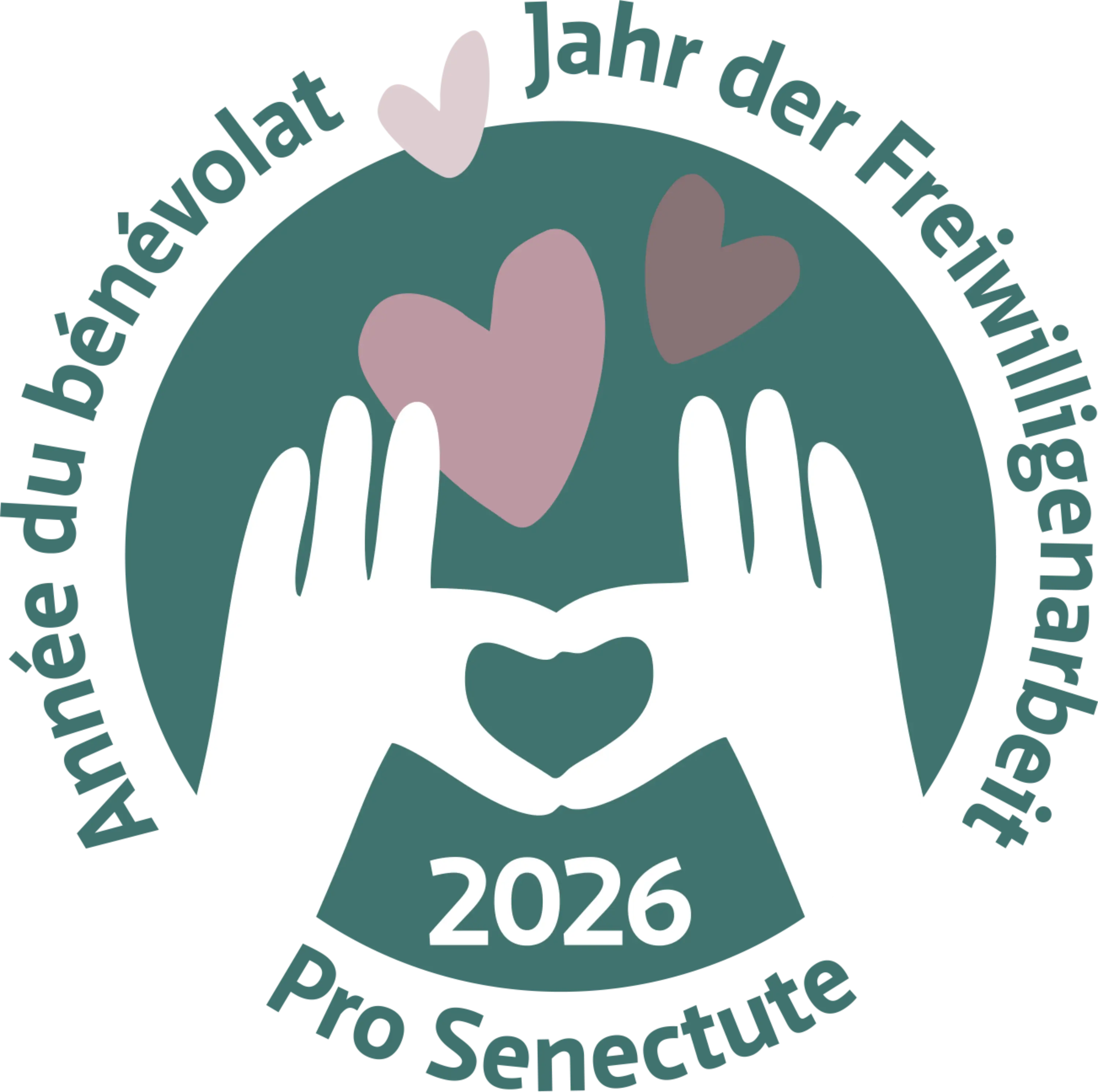 Logo année du bénévolat